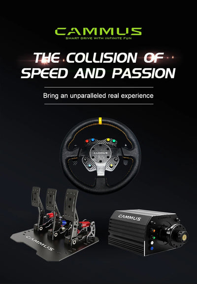 CAMMI racing F1 seat emulator cockpit driving emulator game seat race game